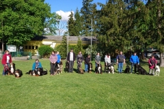 8.int.Zughundeprüfung 28.04.2019