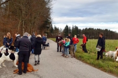 Advent_2019_12_21_04