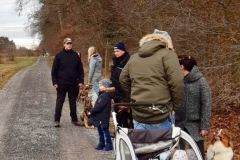 Advent_2019_12_21_08