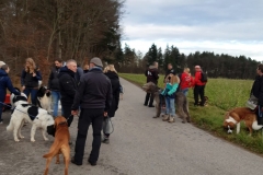 Advent_2019_12_21_09