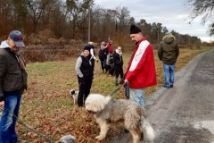 Advent_2019_12_21_10