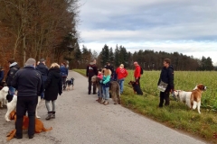 Advent_2019_12_21_13