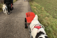 Advent_2019_12_21_14