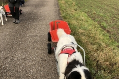 Advent_2019_12_21_15