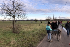 Advent_2019_12_21_17