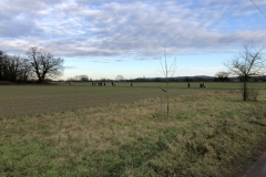 Advent_2019_12_21_19