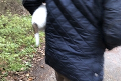 Advent_2019_12_21_20