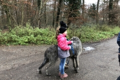 Advent_2019_12_21_21