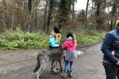 Advent_2019_12_21_22