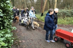 Advent_2019_12_21_26