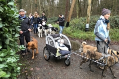 Advent_2019_12_21_27