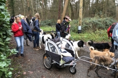 Advent_2019_12_21_28