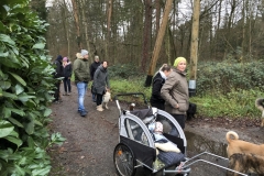 Advent_2019_12_21_29