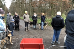 Advent_2019_12_21_30