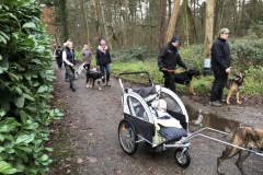 Advent_2019_12_21_31