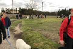 Advent_2019_12_21_34