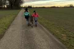 Advent_2019_12_21_36