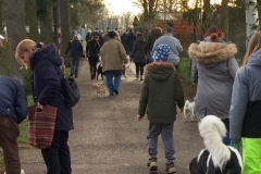 Advent_2019_12_21_37