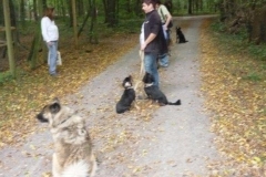 Alltagsgruppe Ausflug Oberwald 012