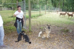 Alltagsgruppe Ausflug Oberwald 017