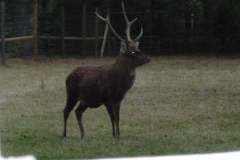 Alltagsgruppe Ausflug Oberwald 019