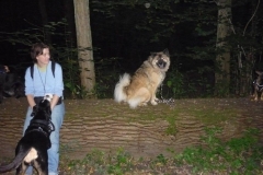 Alltagsgruppe Ausflug Oberwald 026