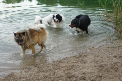 Waldsee II 005