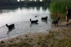Waldsee II 007