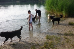 Waldsee II 008