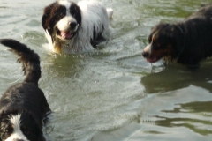 Waldsee II 011