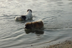 Waldsee II 014