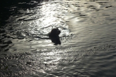 Waldsee II 015