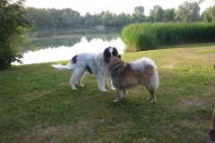 Waldsee II 016