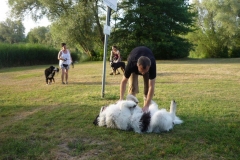 Waldsee II 022
