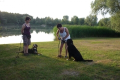 Waldsee II 023