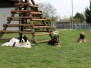 BH Prüfung +Übungsstunde April 2012