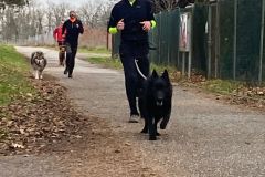 Canicross_02