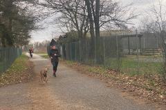 Canicross_03