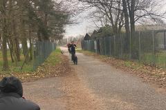 Canicross_04