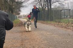 Canicross_05