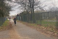 Canicross_07