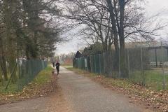 Canicross_08