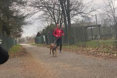 Canicross_11