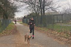 Canicross_15
