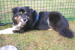Caribi_2012_003