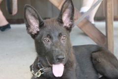 Caribi_2012_020