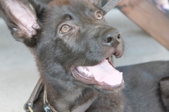 Caribi_2012_021