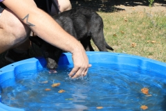 Caribi_2012_033