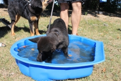 Caribi_2012_034