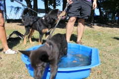 Caribi_2012_035
